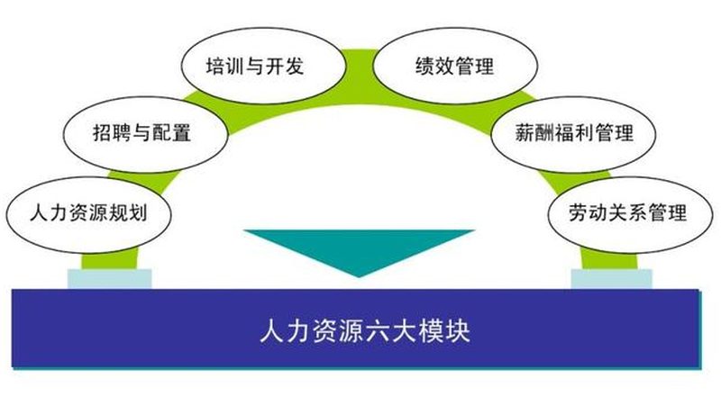 劳务派遣费用构成解析：揭秘企业用工成本**