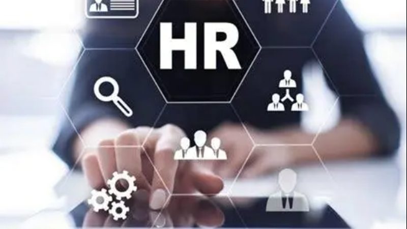 科技公司海外人才猎头报价解析：揭秘合理报价背后的逻辑